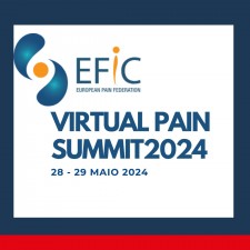 efic_virtualsummit2024.jpg