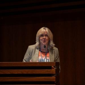 Viii Congressoaped023 Mindfulness7